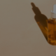 c vitamin serum.png axelsonsspa